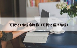 杭州可视化+小程序制作（可视化程序编程）